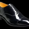 Cheltenham - Black Hi-Shine