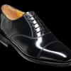 Arnold - Black Hi-Shine