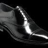 Wilton - Black Hi-Shine